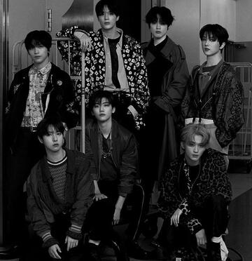 All Member NCT Dream